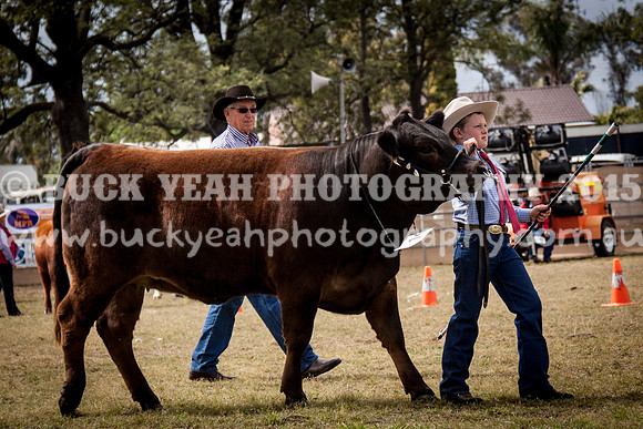 Singleton Show 15 -445