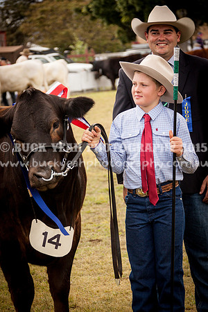 Singleton Show 15 -446