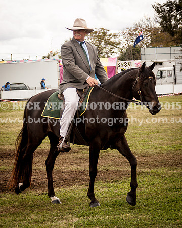 Singleton Show 15 -449
