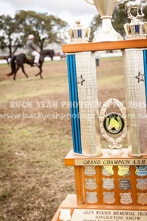 Singleton Show 15 -451