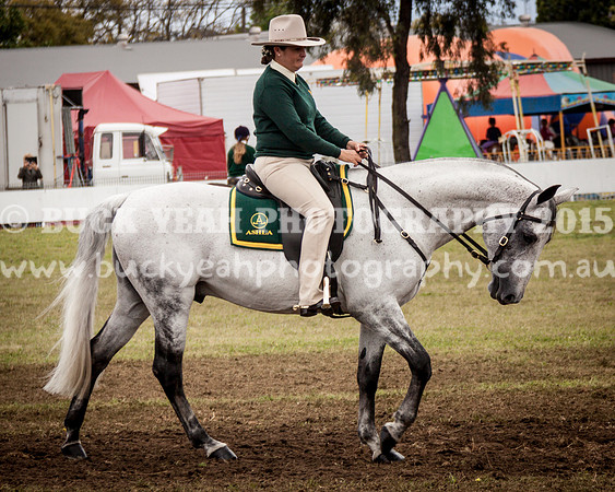 Singleton Show 15 -450