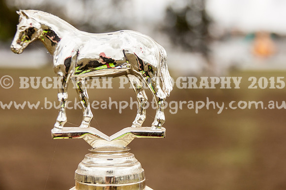 Singleton Show 15 -452