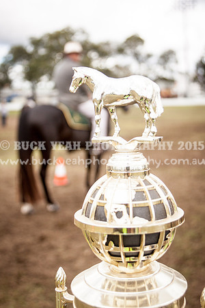 Singleton Show 15 -453