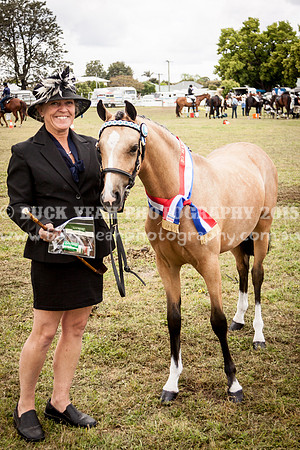 Singleton Show 15 -454