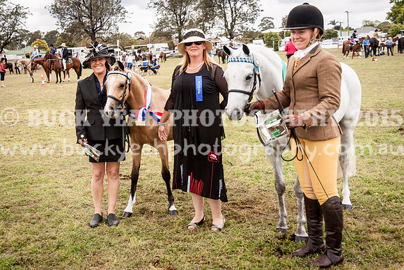 Singleton Show 15 -455