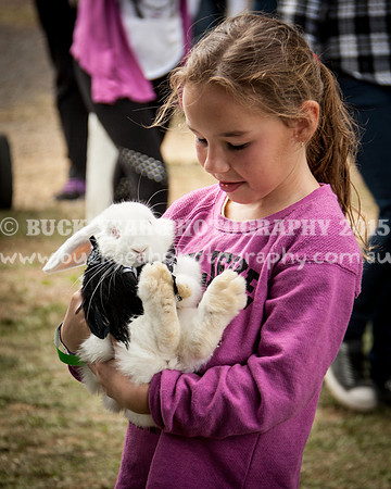 Singleton Show 15 -467