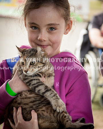 Singleton Show 15 -468