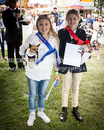 Singleton Show 15 -475