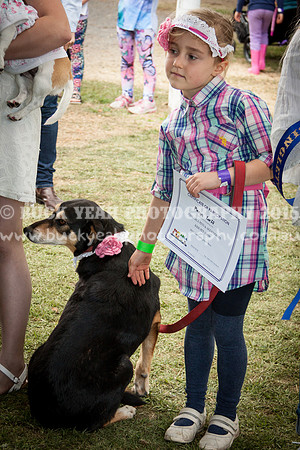 Singleton Show 15 -476