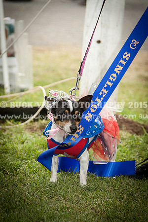 Singleton Show 15 -477