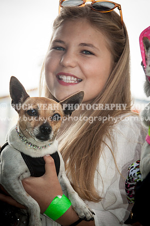 Singleton Show 15 -478