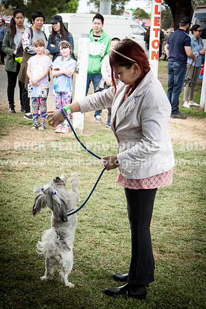 Singleton Show 15 -479