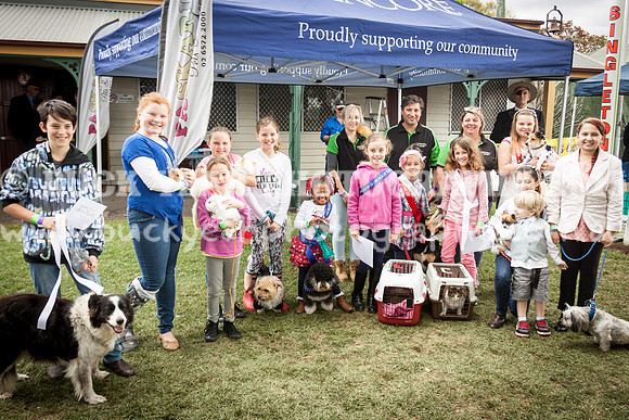 Singleton Show 15 -481