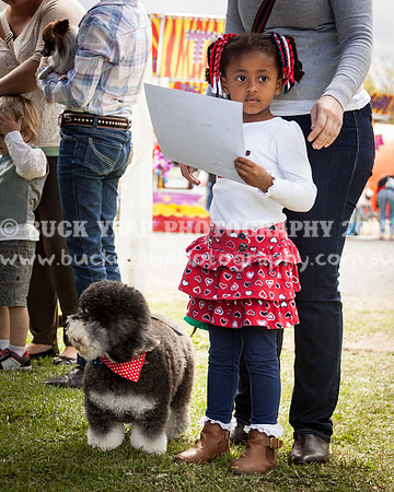 Singleton Show 15 -456