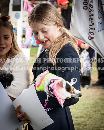 Singleton Show 15 -474