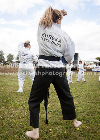 Singleton Show 15 -486