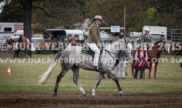 Singleton Show 15 -487