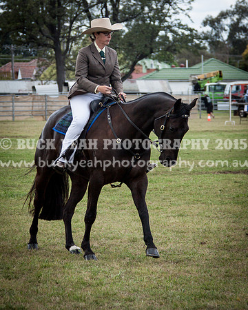 Singleton Show 15 -489