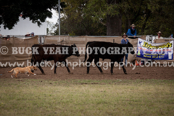 Singleton Show 15 -503