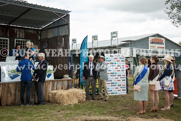 Singleton Show 15 -518