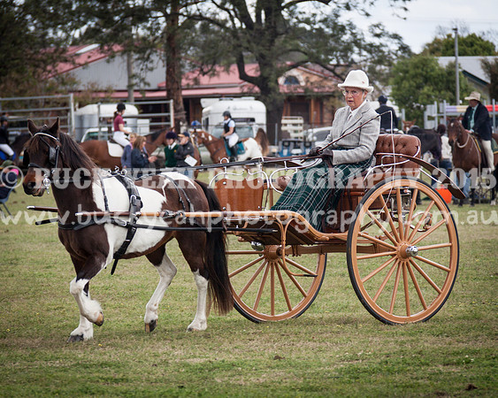 Singleton Show 15 -527