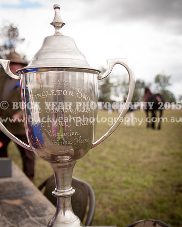 Singleton Show 15 -523