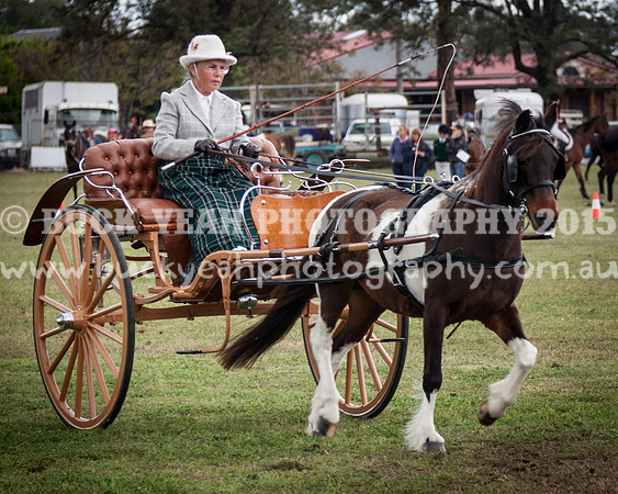 Singleton Show 15 -528