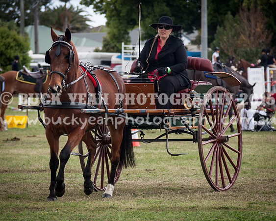 Singleton Show 15 -529