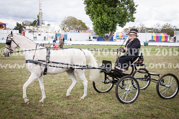 Singleton Show 15 -530
