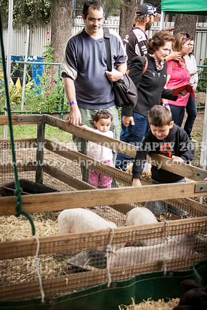 Singleton Show 15 -538