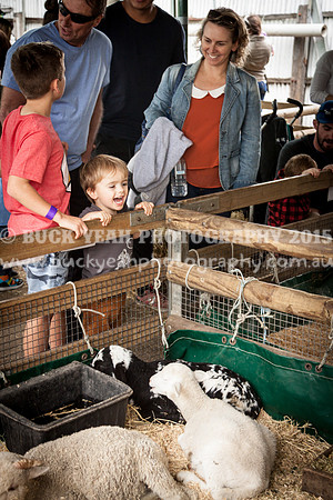 Singleton Show 15 -541