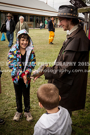 Singleton Show 15 -543