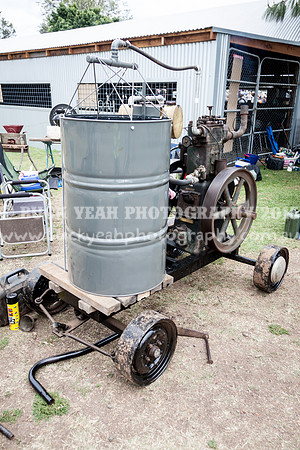 Singleton Show 15 -555
