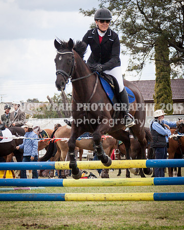 Singleton Show 15 -561