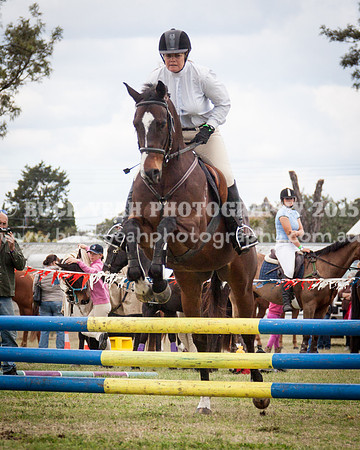 Singleton Show 15 -560