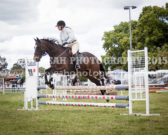 Singleton Show 15 -559