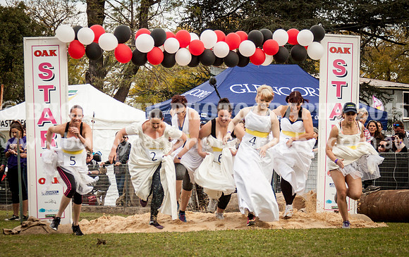 Singleton Show 15 -566