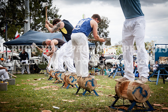 Singleton Show 15 -583