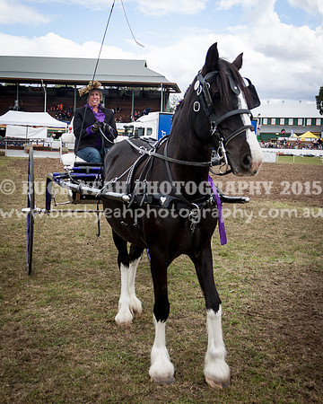 Singleton Show 15 -585