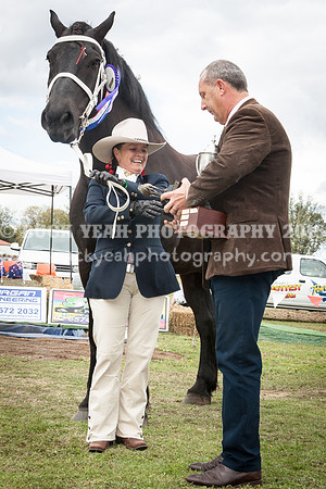 Singleton Show 15 -596
