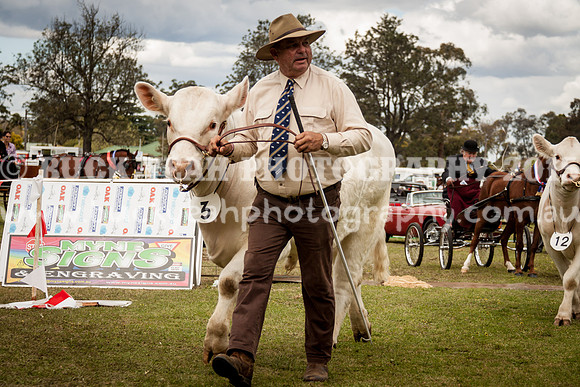 Singleton Show 15 -605