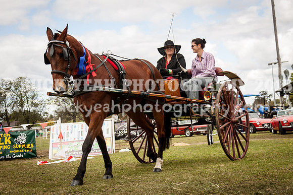 Singleton Show 15 -606