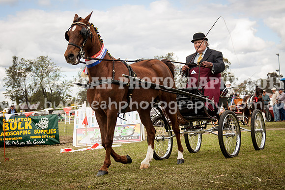 Singleton Show 15 -607