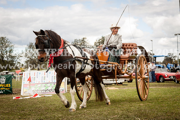Singleton Show 15 -608