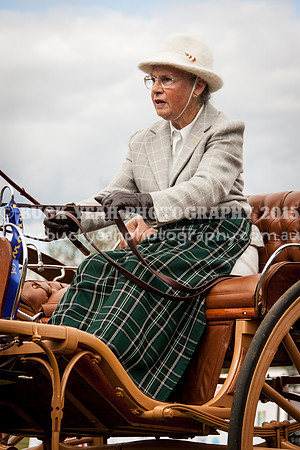 Singleton Show 15 -609
