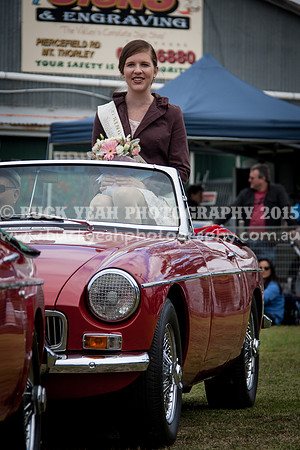 Singleton Show 15 -647