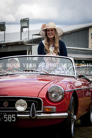 Singleton Show 15 -646