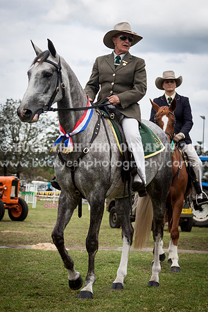 Singleton Show 15 -648