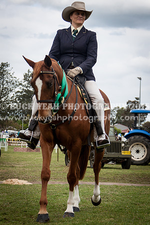 Singleton Show 15 -649