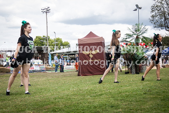 Singleton Show 15 -652